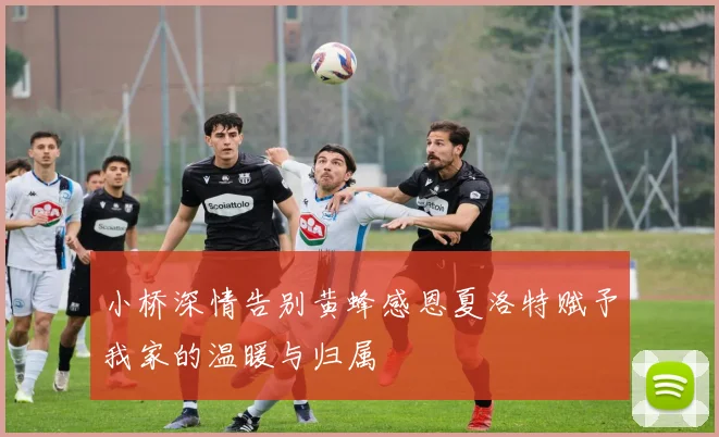 小桥深情告别黄蜂感恩夏洛特赋予我家的温暖与归属